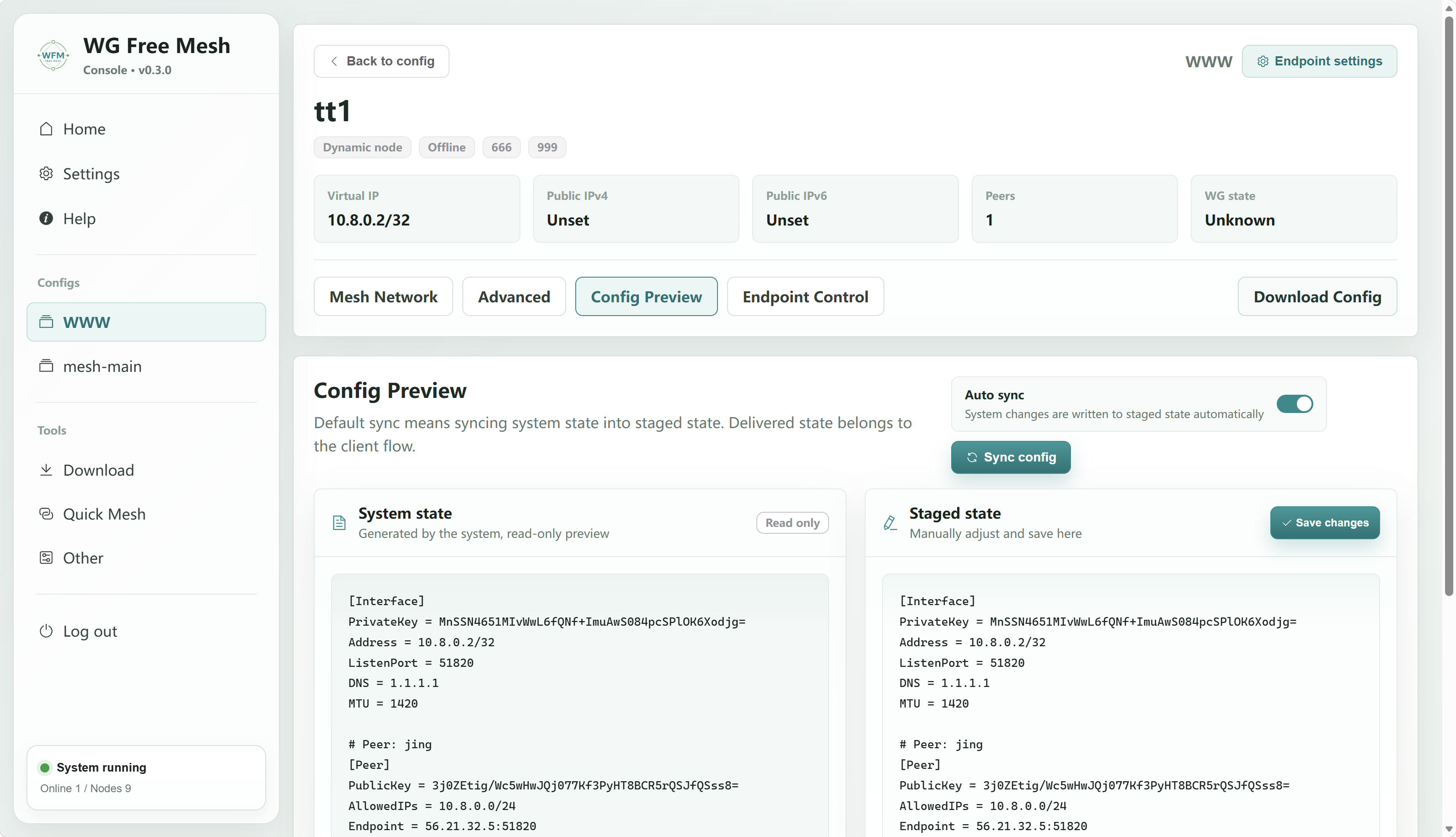 Config preview